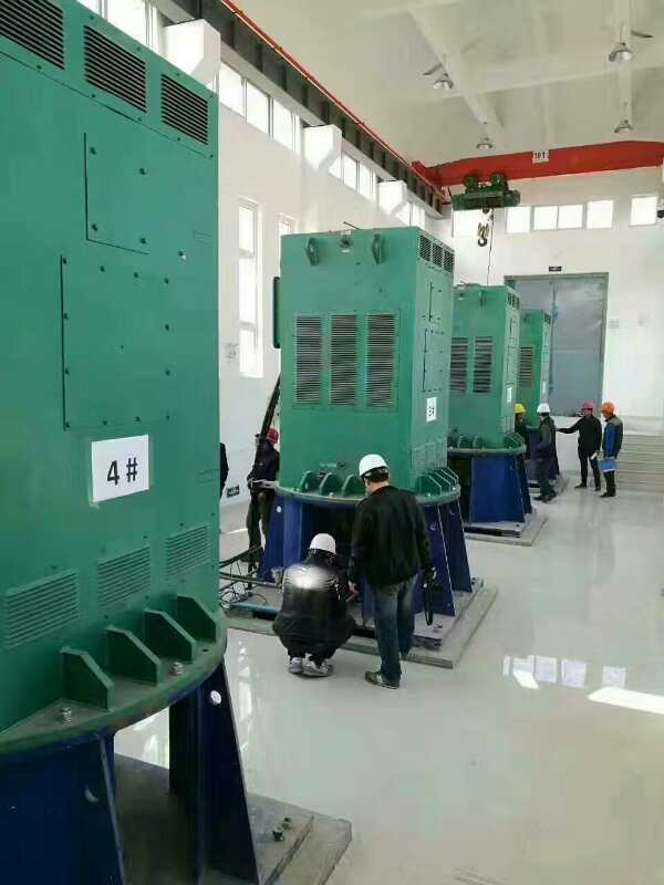 Y4505-2某污水处理厂使用我厂的立式高压电机安装现场