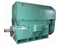 Y4505-2Y系列6KV高压电机